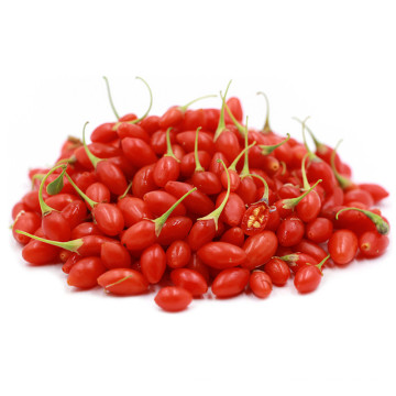 Bagas de goji bio com zero pesticida / baixo teor de açúcar wolfberry chinês em Ningxia